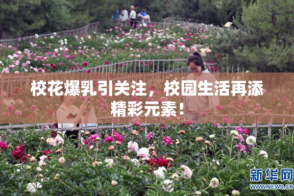 校花爆乳引关注，校园生活再添精彩元素！