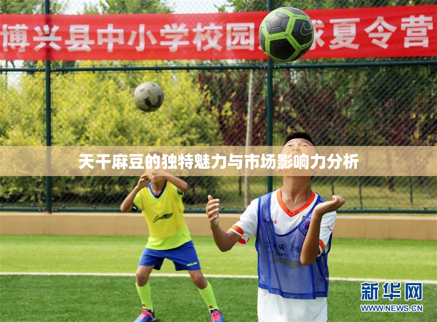天干麻豆的独特魅力与市场影响力分析