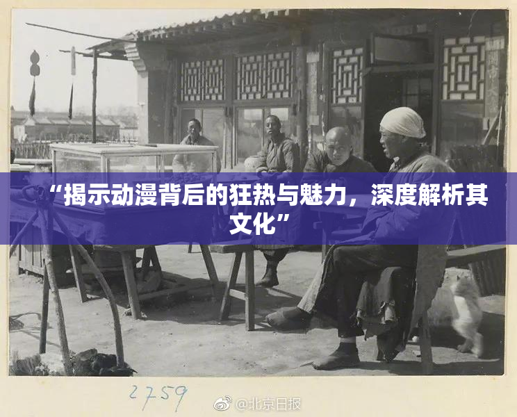 “揭示动漫背后的狂热与魅力，深度解析其文化”