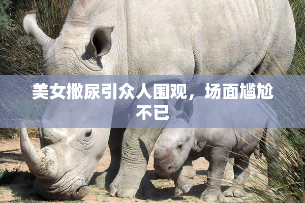美女撒尿引众人围观，场面尴尬不已