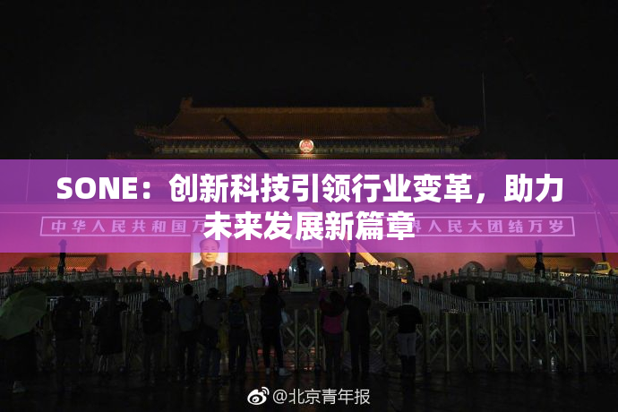 SONE：创新科技引领行业变革，助力未来发展新篇章