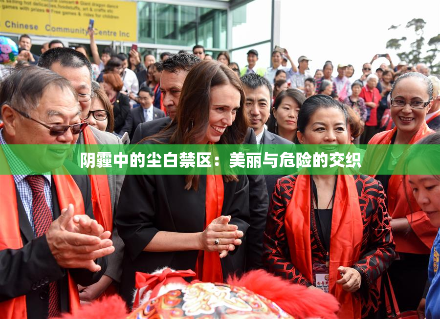 阴霾中的尘白禁区：美丽与危险的交织