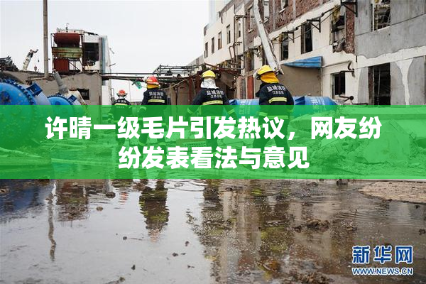 许晴一级毛片引发热议，网友纷纷发表看法与意见