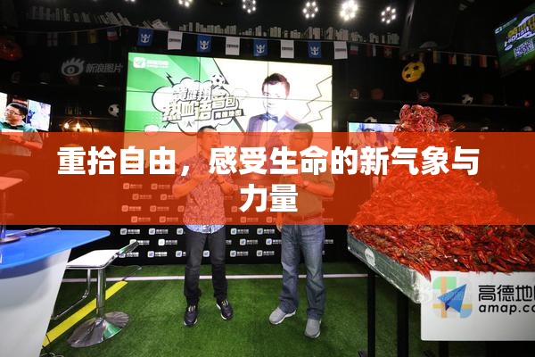重拾自由，感受生命的新气象与力量