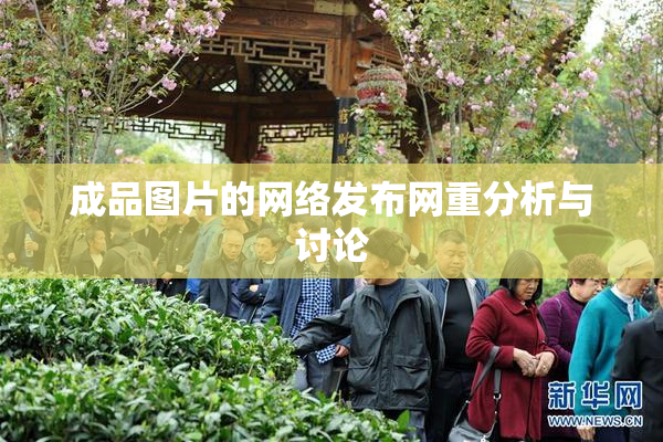 成品图片的网络发布网重分析与讨论
