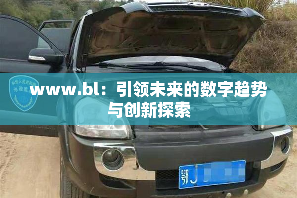 www.bl：引领未来的数字趋势与创新探索