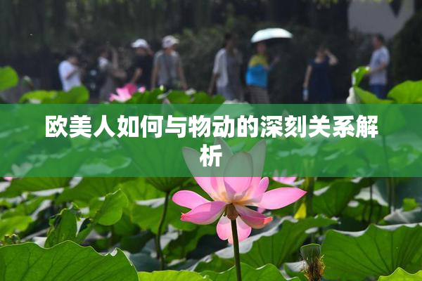 欧美人如何与物动的深刻关系解析