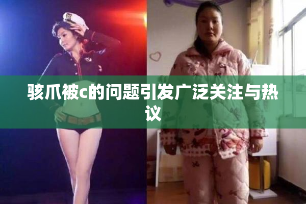 骇爪被c的问题引发广泛关注与热议