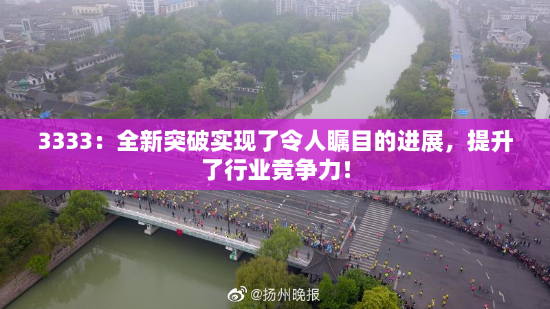 3333：全新突破实现了令人瞩目的进展，提升了行业竞争力！