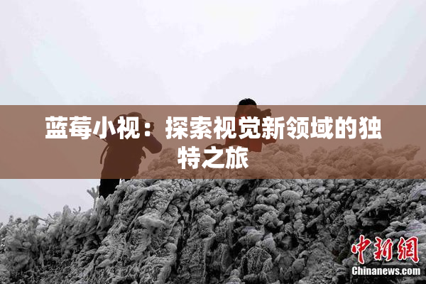 蓝莓小视：探索视觉新领域的独特之旅