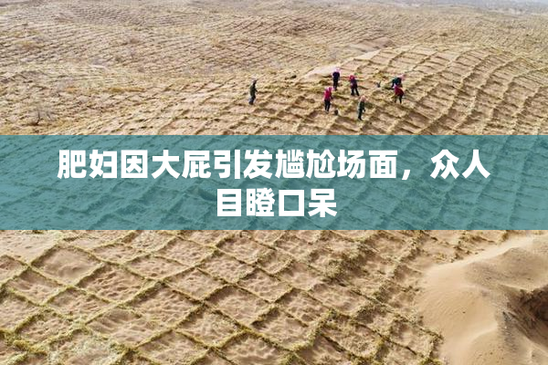肥妇因大屁引发尴尬场面，众人目瞪口呆