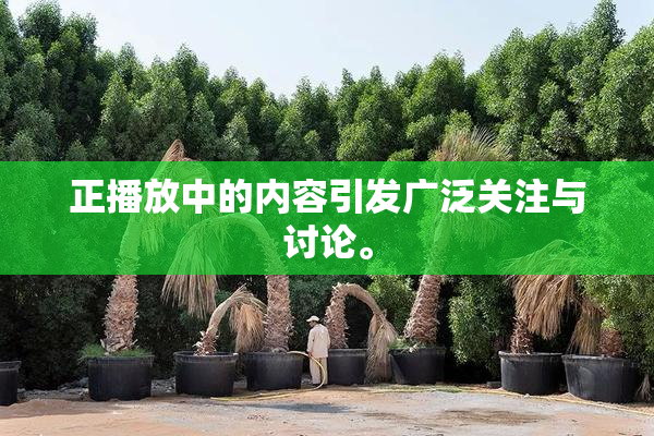 正播放中的内容引发广泛关注与讨论。