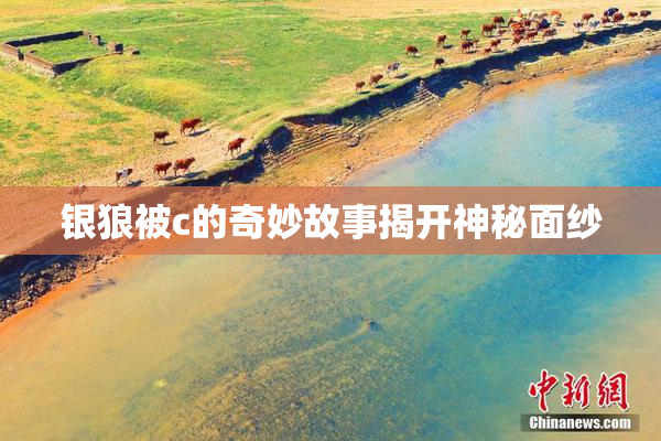 银狼被c的奇妙故事揭开神秘面纱