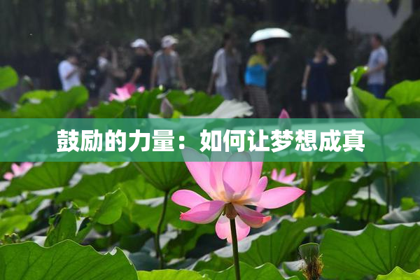鼓励的力量：如何让梦想成真