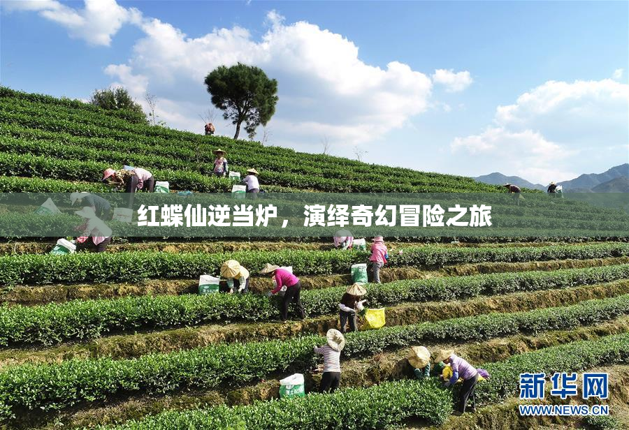 红蝶仙逆当炉，演绎奇幻冒险之旅