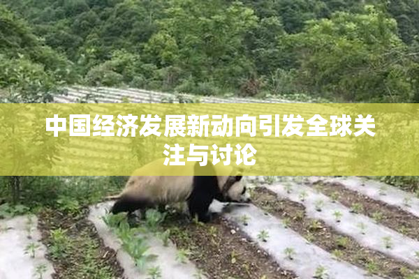 中国经济发展新动向引发全球关注与讨论