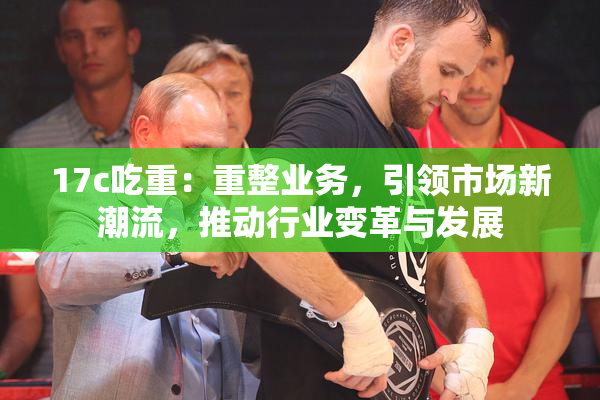 17c吃重：重整业务，引领市场新潮流，推动行业变革与发展