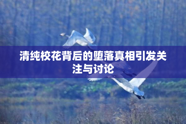 清纯校花背后的堕落真相引发关注与讨论