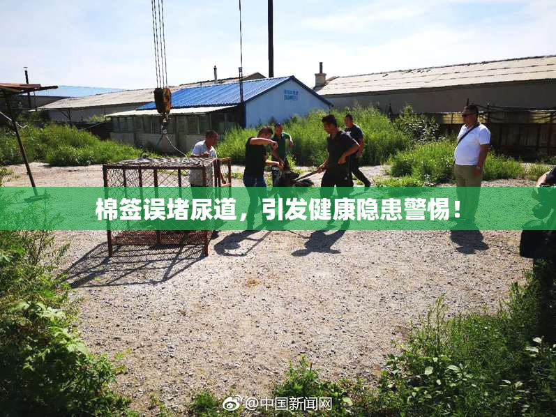 棉签误堵尿道，引发健康隐患警惕！