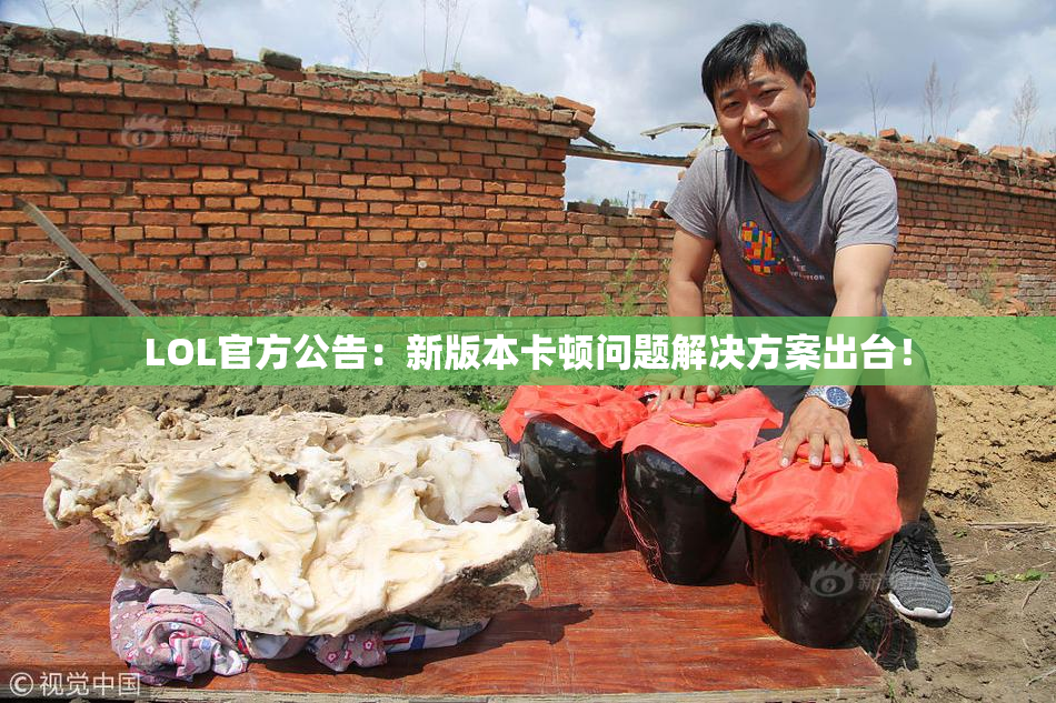 LOL官方公告：新版本卡顿问题解决方案出台！