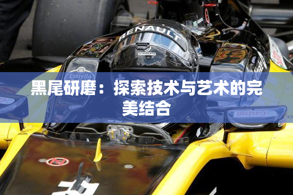 黑尾研磨：探索技术与艺术的完美结合