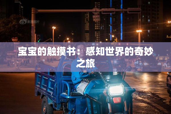 宝宝的触摸书：感知世界的奇妙之旅
