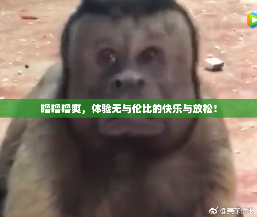 噜噜噜爽，体验无与伦比的快乐与放松！