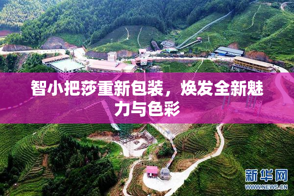 智小把莎重新包装，焕发全新魅力与色彩