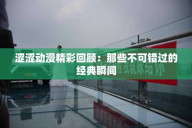 涩涩动漫精彩回顾：那些不可错过的经典瞬间