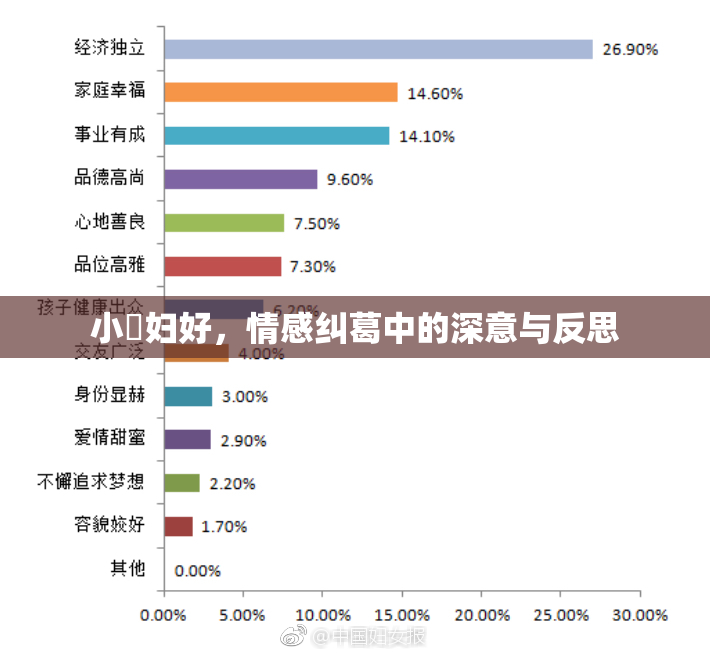 小婬妇好，情感纠葛中的深意与反思