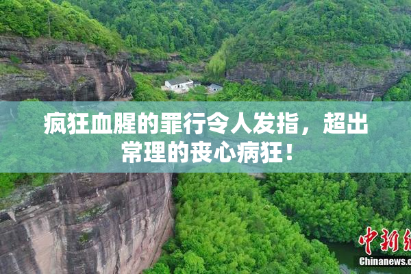 疯狂血腥的罪行令人发指，超出常理的丧心病狂！