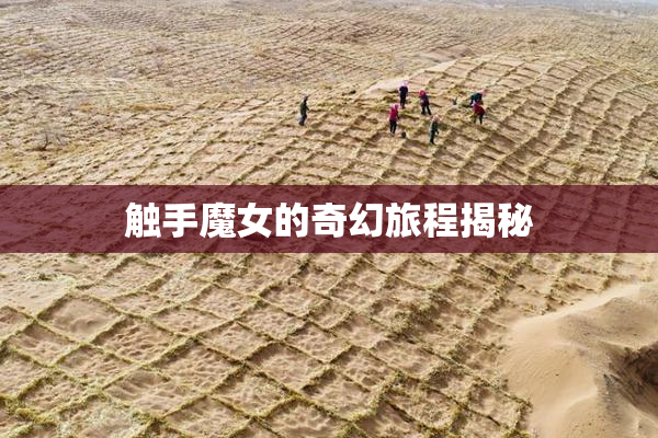 触手魔女的奇幻旅程揭秘