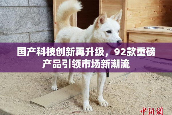 国产科技创新再升级，92款重磅产品引领市场新潮流
