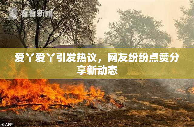 爱丫爱丫引发热议，网友纷纷点赞分享新动态