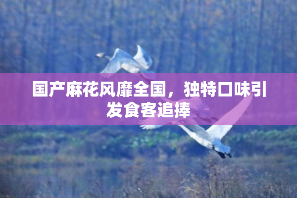 国产麻花风靡全国，独特口味引发食客追捧