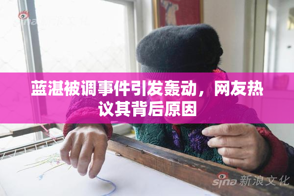 蓝湛被调事件引发轰动，网友热议其背后原因
