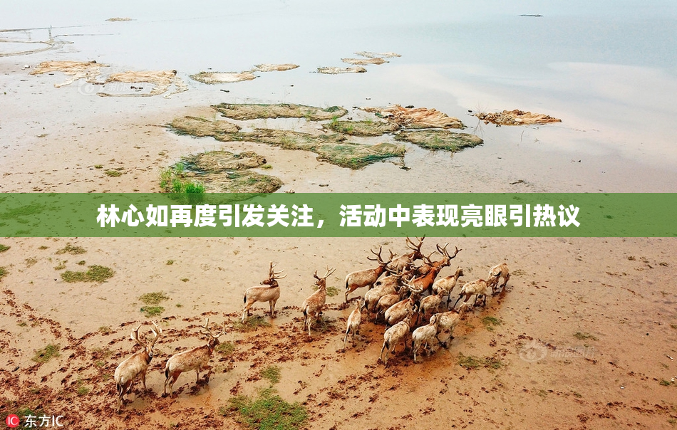 林心如再度引发关注，活动中表现亮眼引热议