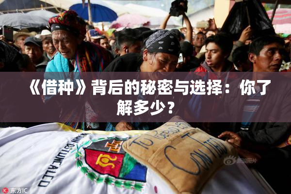 《借种》背后的秘密与选择：你了解多少？