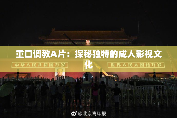 重口调教A片：探秘独特的成人影视文化