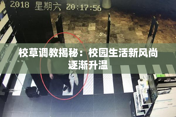 校草调教揭秘：校园生活新风尚逐渐升温