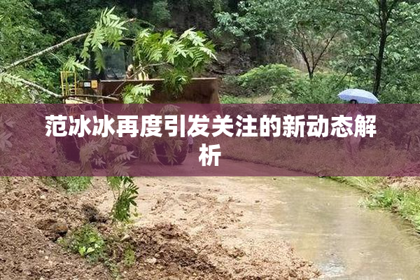 范冰冰再度引发关注的新动态解析