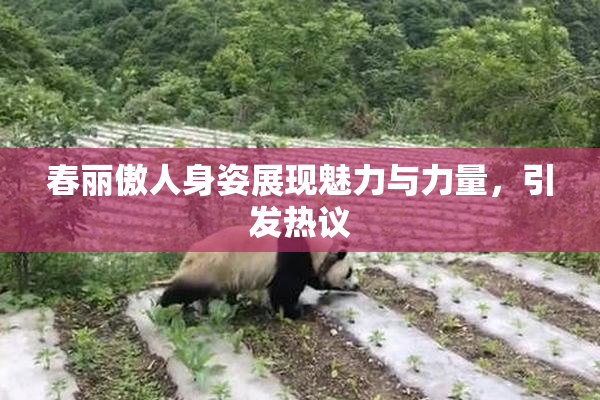 春丽傲人身姿展现魅力与力量，引发热议