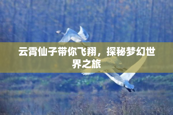 云霄仙子带你飞翔，探秘梦幻世界之旅
