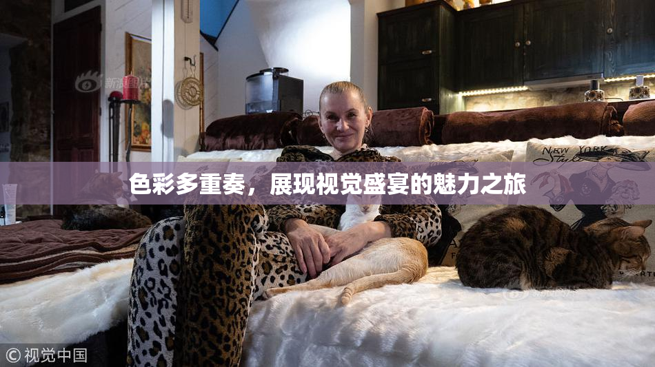色彩多重奏，展现视觉盛宴的魅力之旅