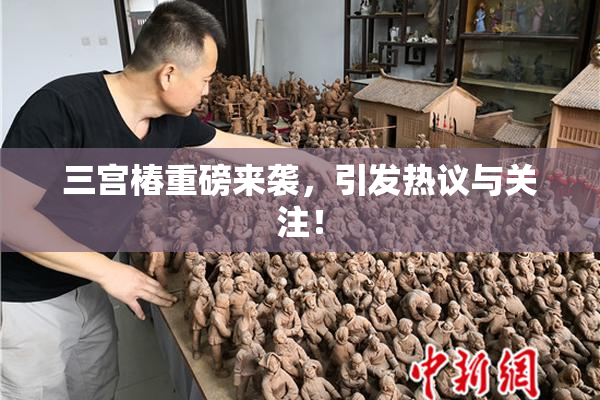 三宫椿重磅来袭，引发热议与关注！