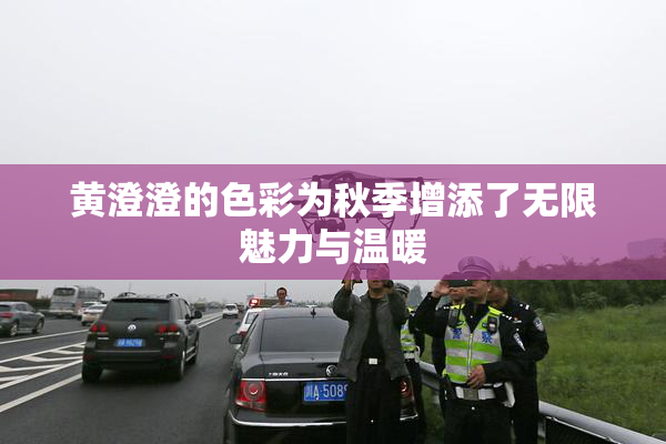 黄澄澄的色彩为秋季增添了无限魅力与温暖