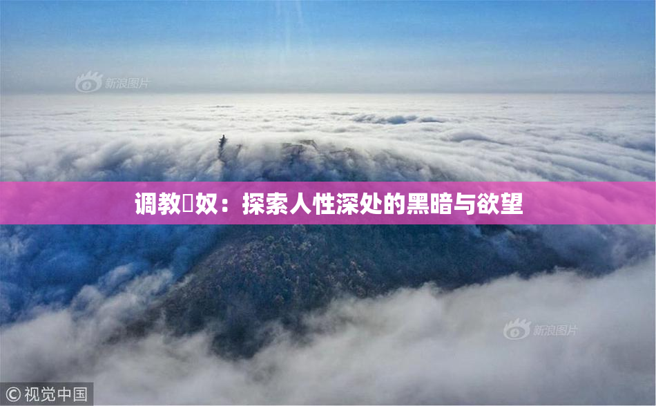 调教婬奴：探索人性深处的黑暗与欲望