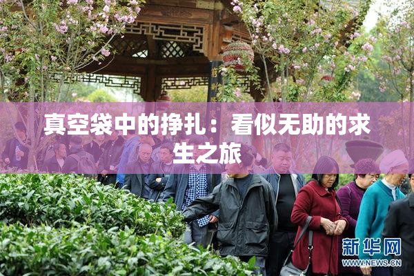 真空袋中的挣扎：看似无助的求生之旅