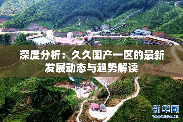 深度分析：久久国产一区的最新发展动态与趋势解读