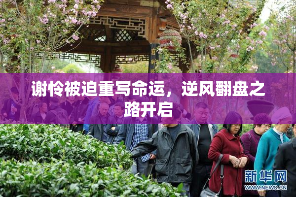 谢怜被迫重写命运，逆风翻盘之路开启